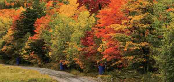 濟南長田實業有限公司,長田集團,商業管理,酒店管理,物業管理,房產開發,農業科技,路橋工程